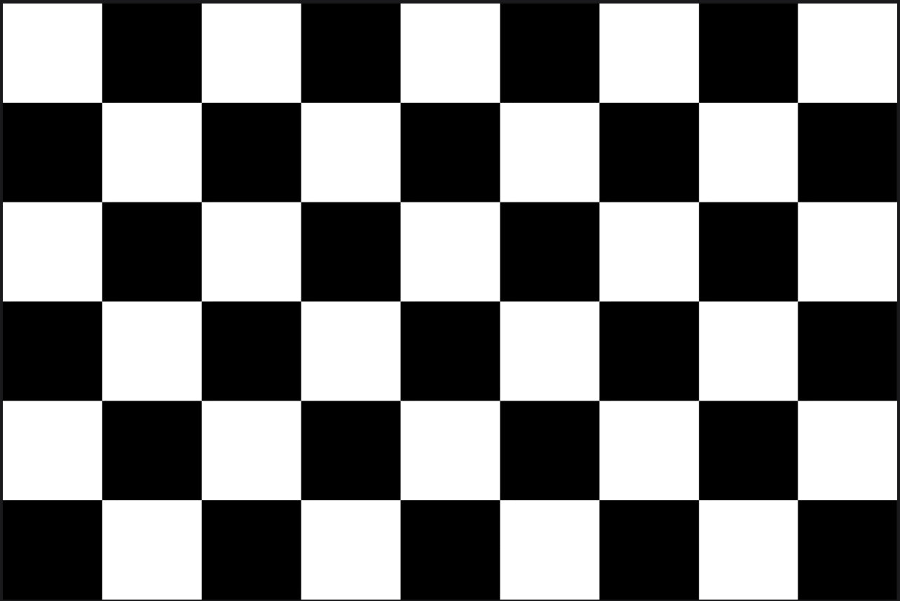 Checkered FLAG 12"x18" Double Sided Grommet Flag
