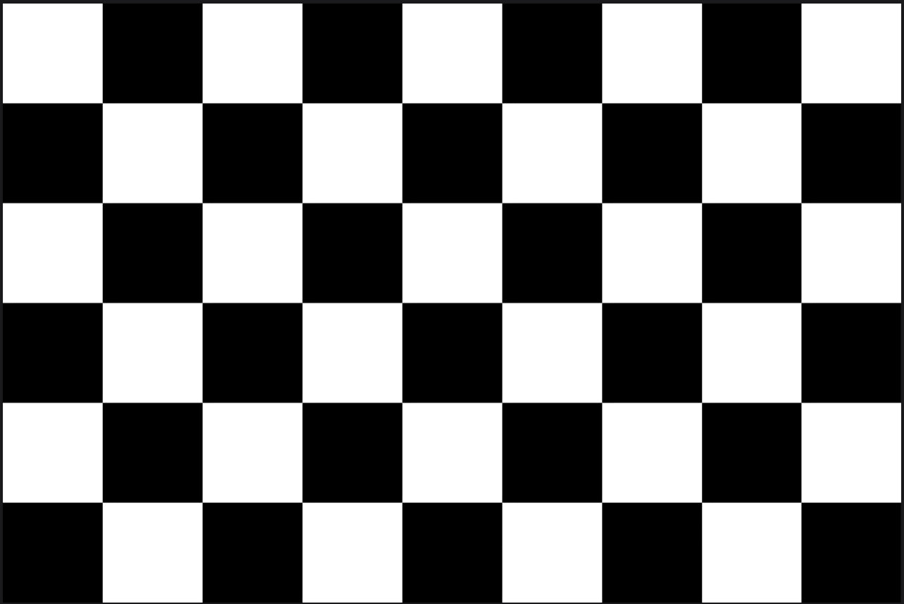 Checkered FLAG 12"x18" Double Sided Grommet Flag