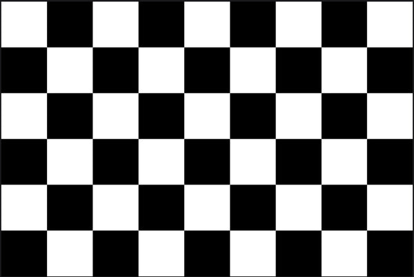 Checkered FLAG 12"x18" Double Sided Grommet Flag